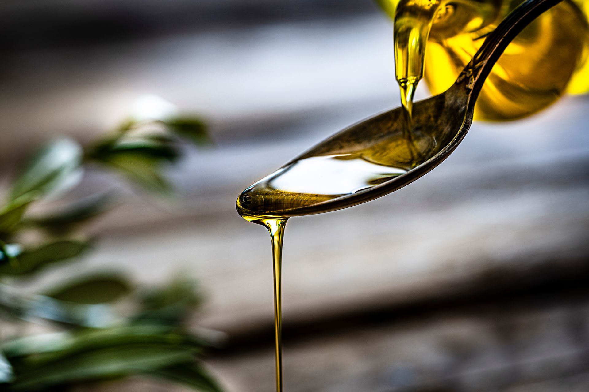 olio extravergine d'oliva