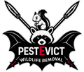 Logo: raccoon, squirrel, crossed spears, bat-shaped emblem, text 