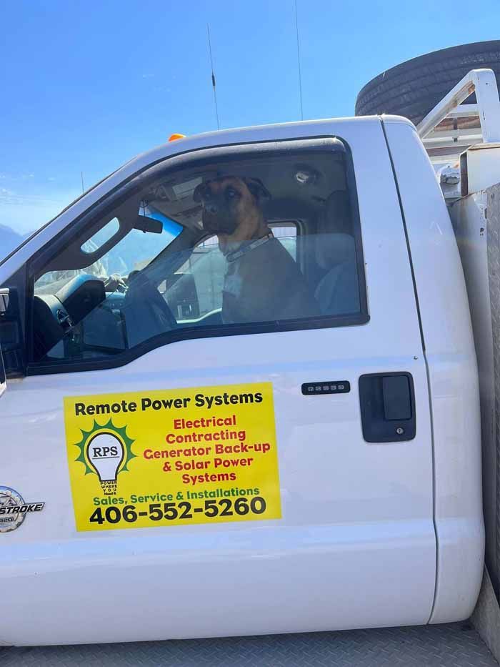 A dog sits in the driver's seat of a white truck with 