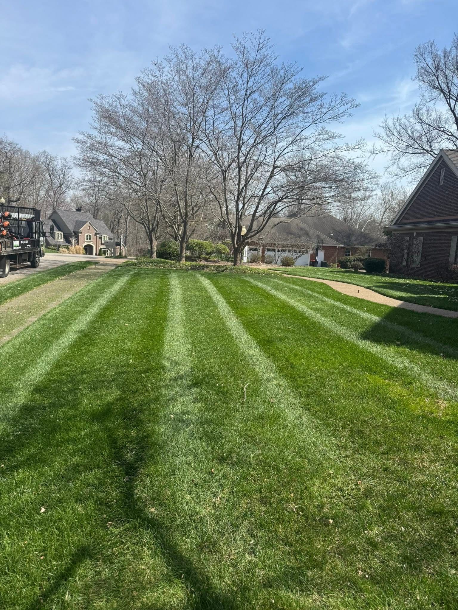 Freshly mowed green lawn with striped patterns, leafless tree, and houses under a clear blue sky.