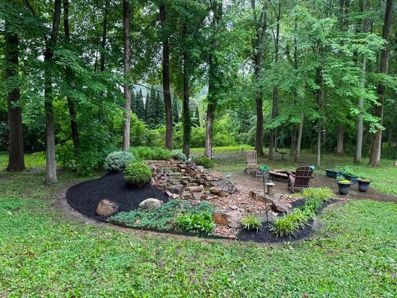 Woodland garden with a stone fire pit, black mulch border, and outdoor seating under tall trees