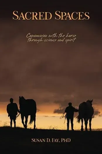 The cover of a book called sacred spaces