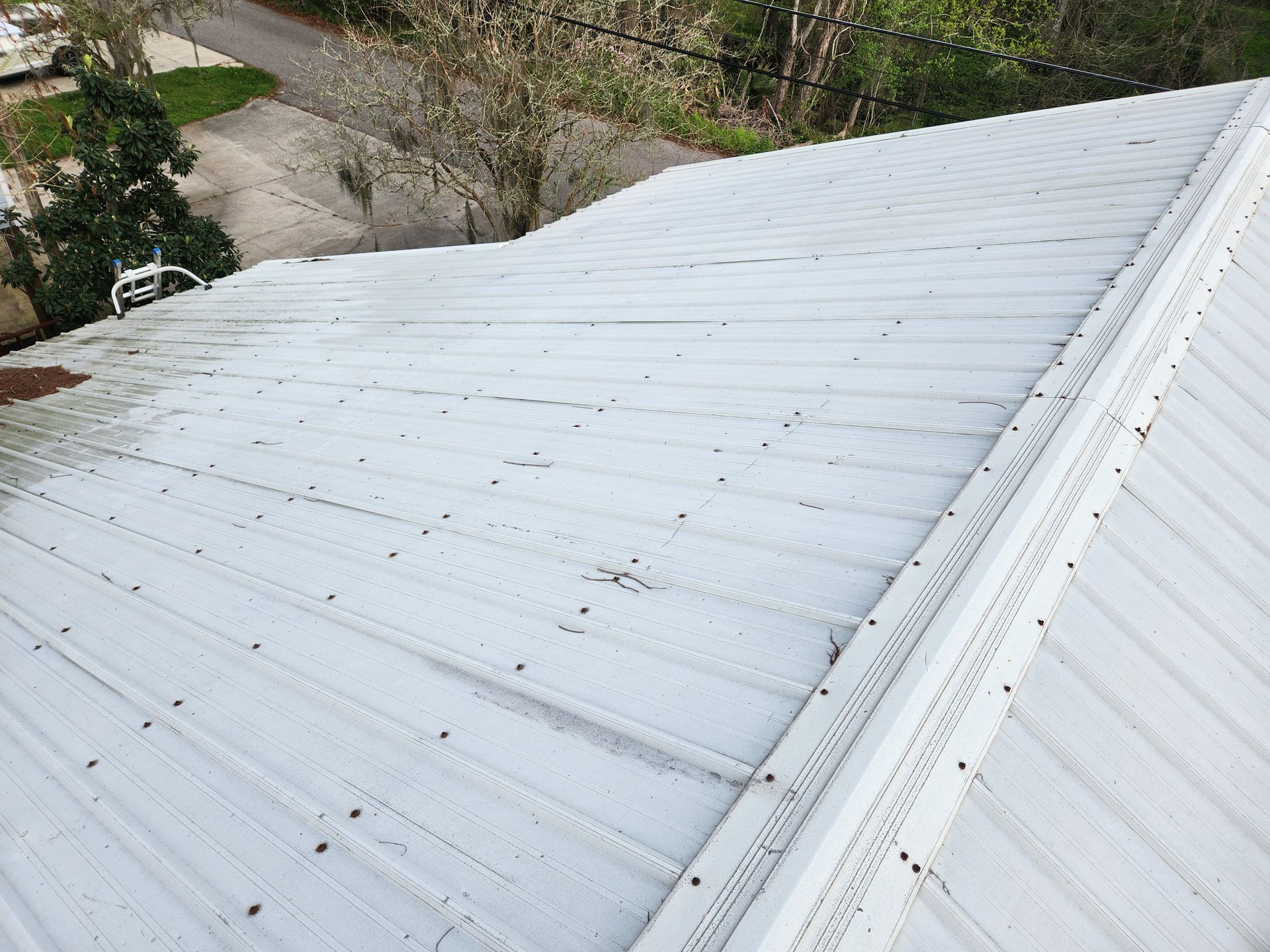 White metal roof with visible screws; small dark debris scattered across the surface.