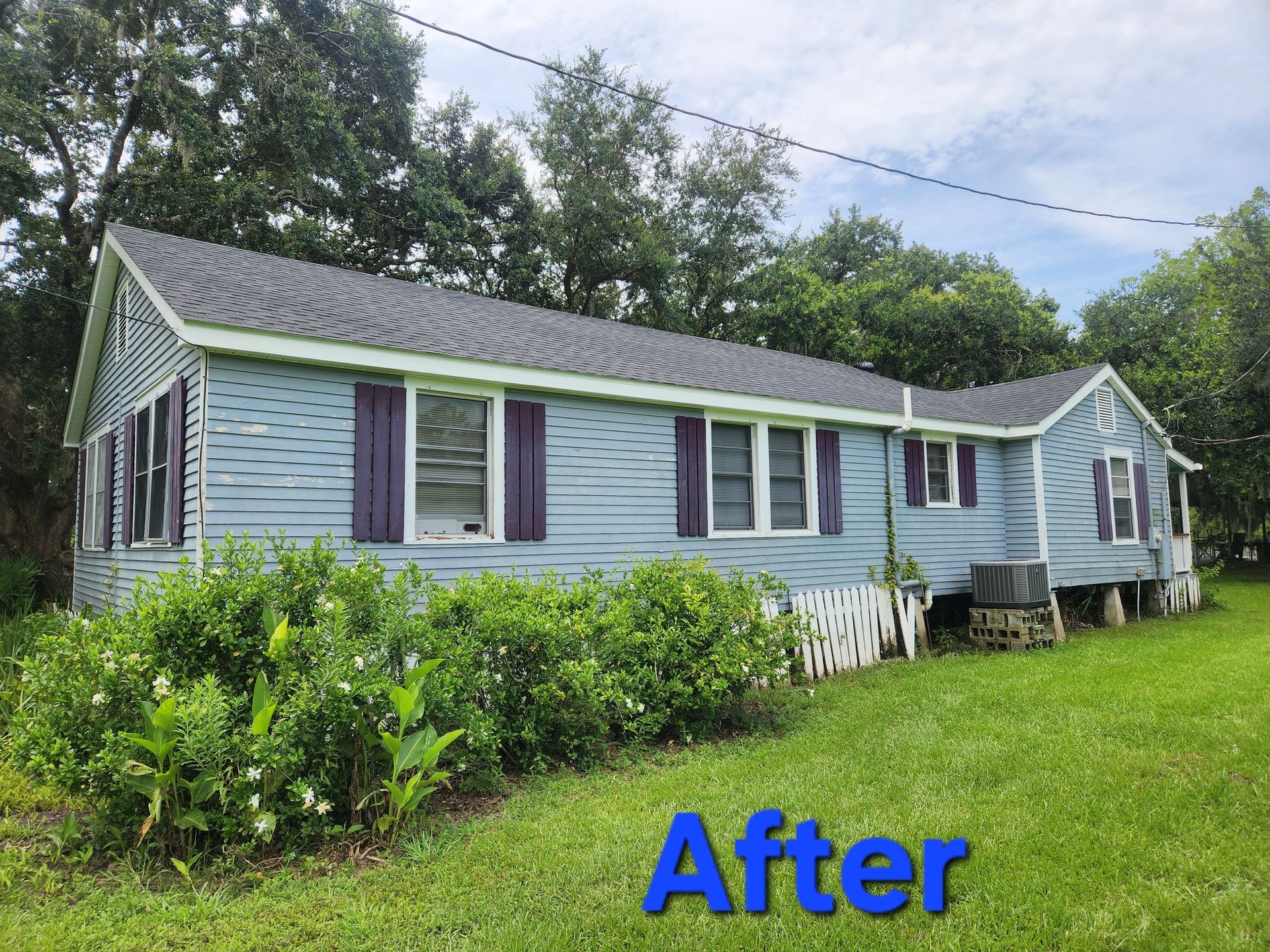 Blue house with purple shutters and a dark roof in a grassy yard surrounded by trees;