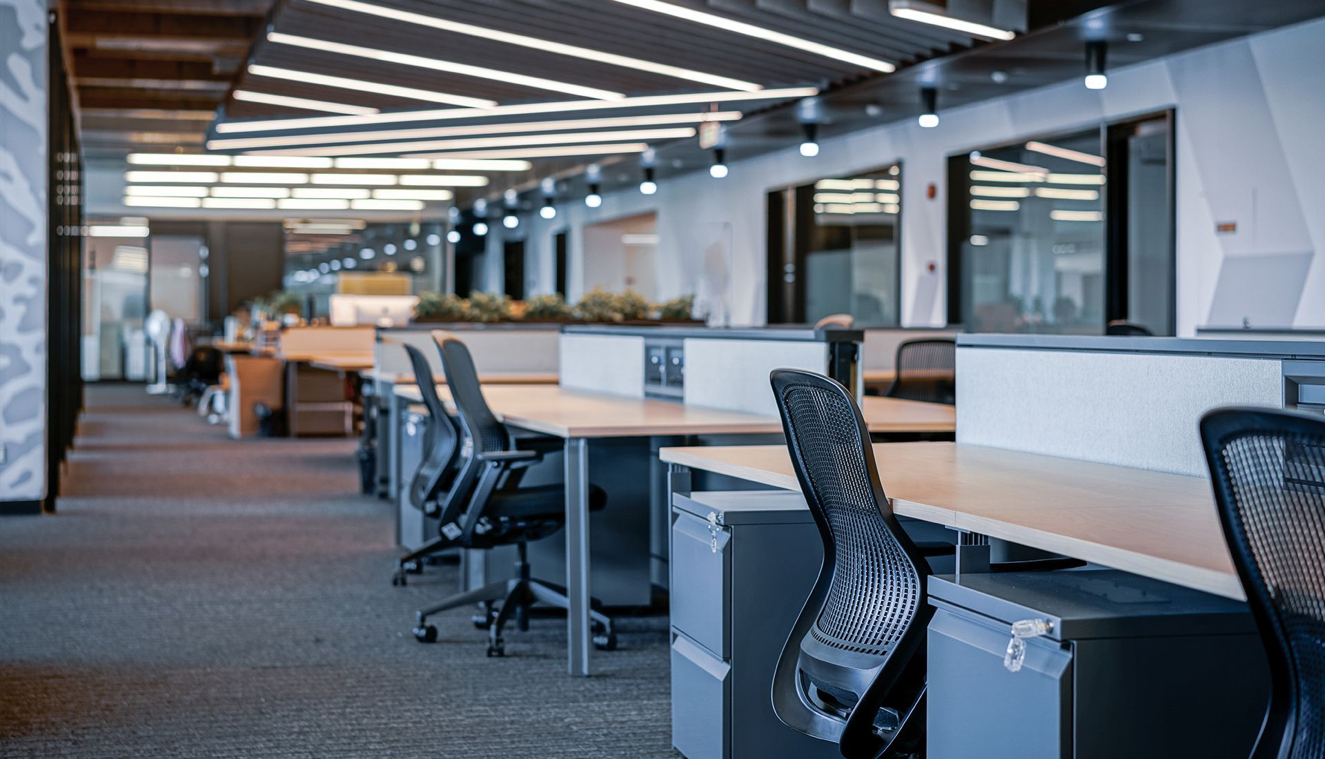 Office space with empty desks, chairs, and overhead lights.