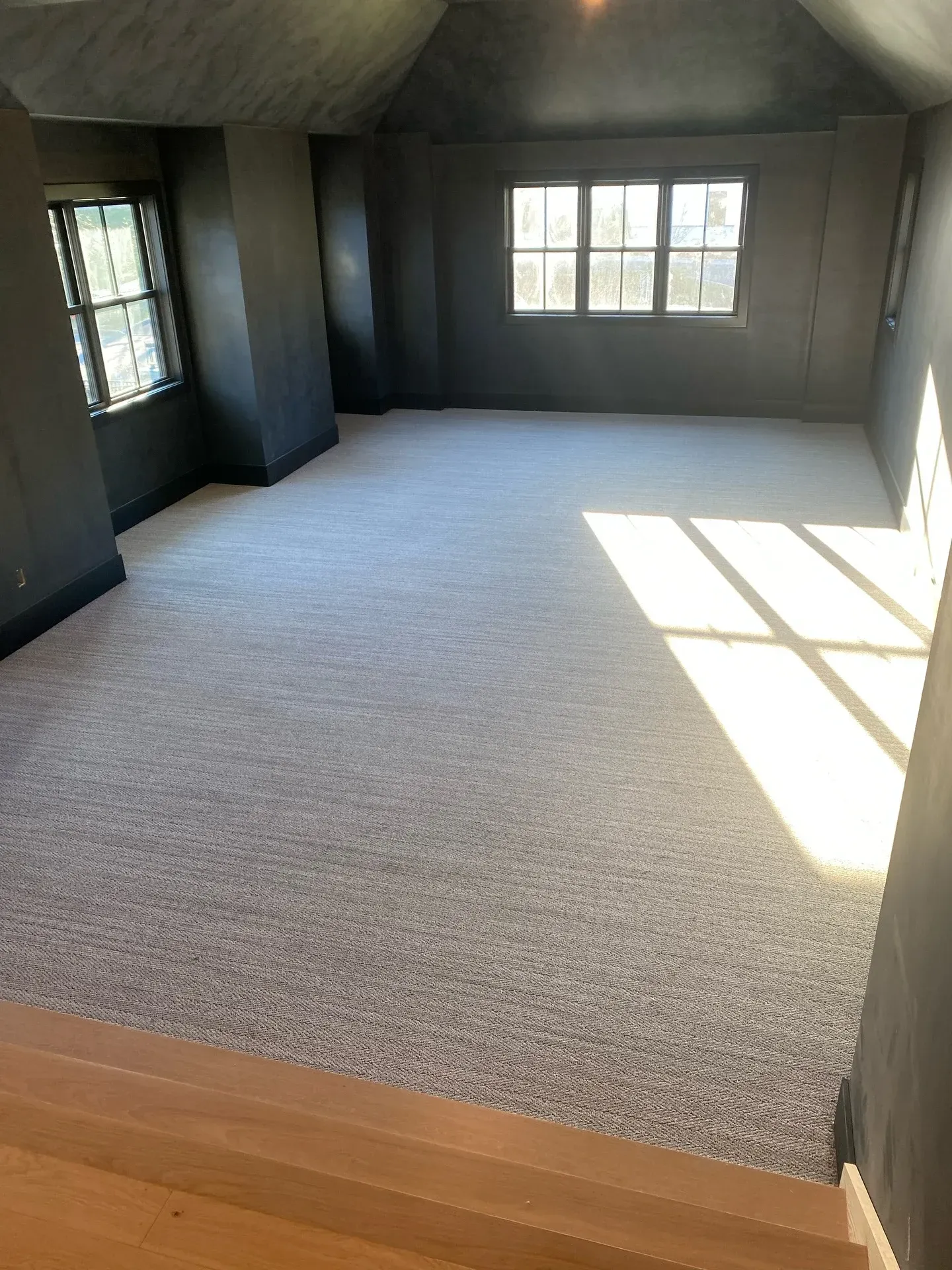 Empty carpeted room with dark walls and windows, lit by bright sunlight on the floor.
