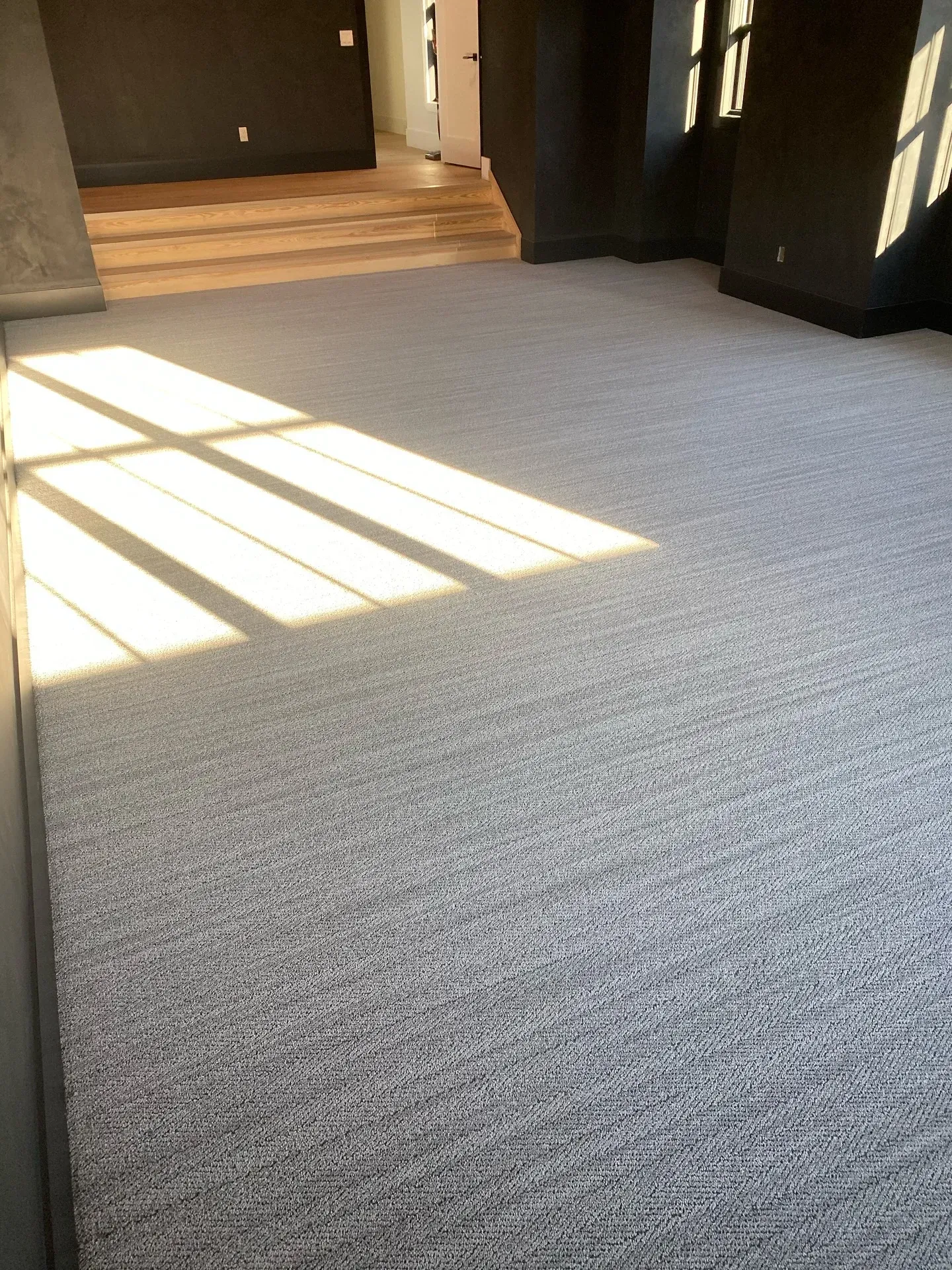 Empty carpeted hallway with sunlight streaming across the floor from windows on the right.