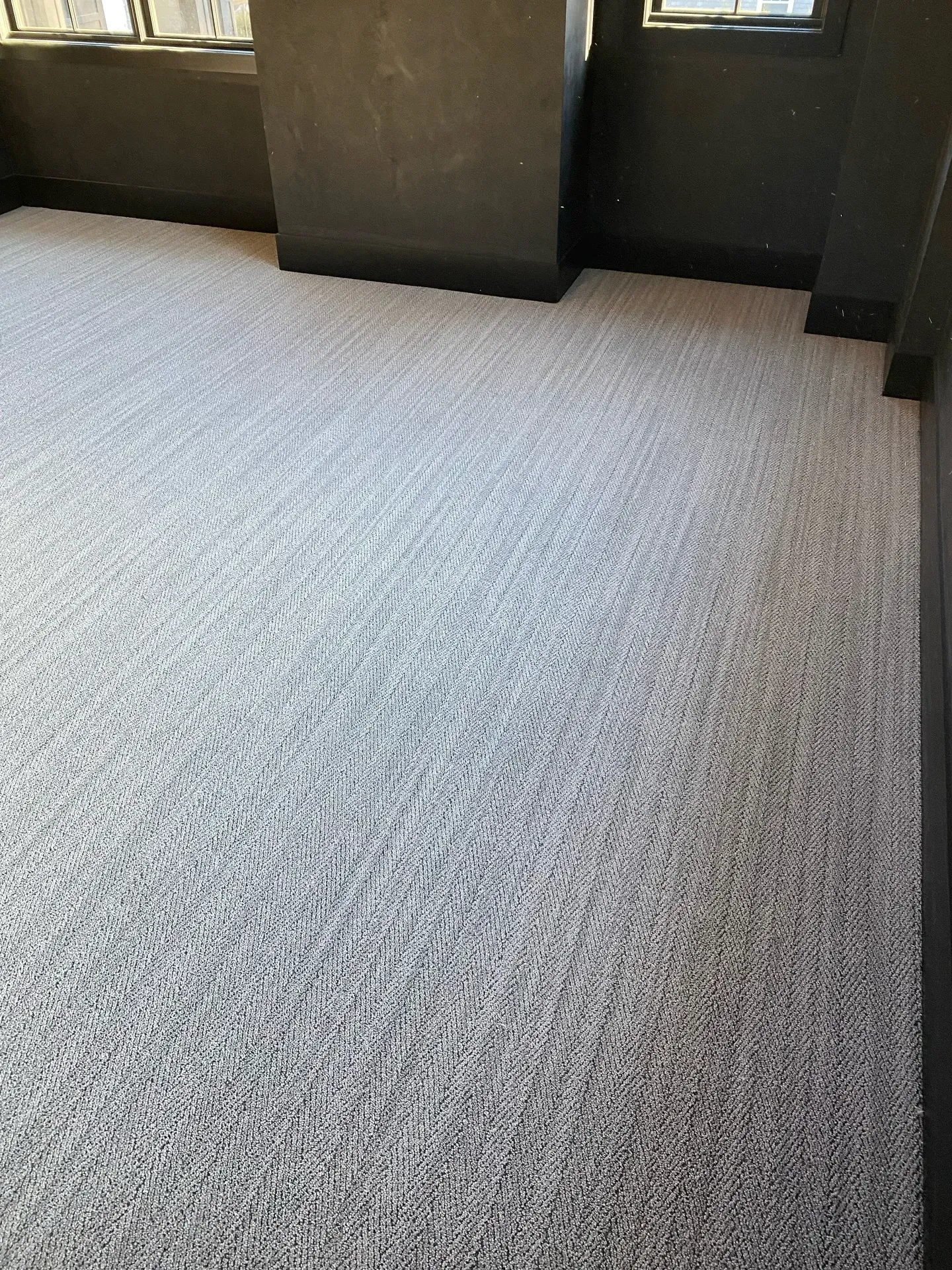 Empty carpeted room with light gray floor and dark walls near windows