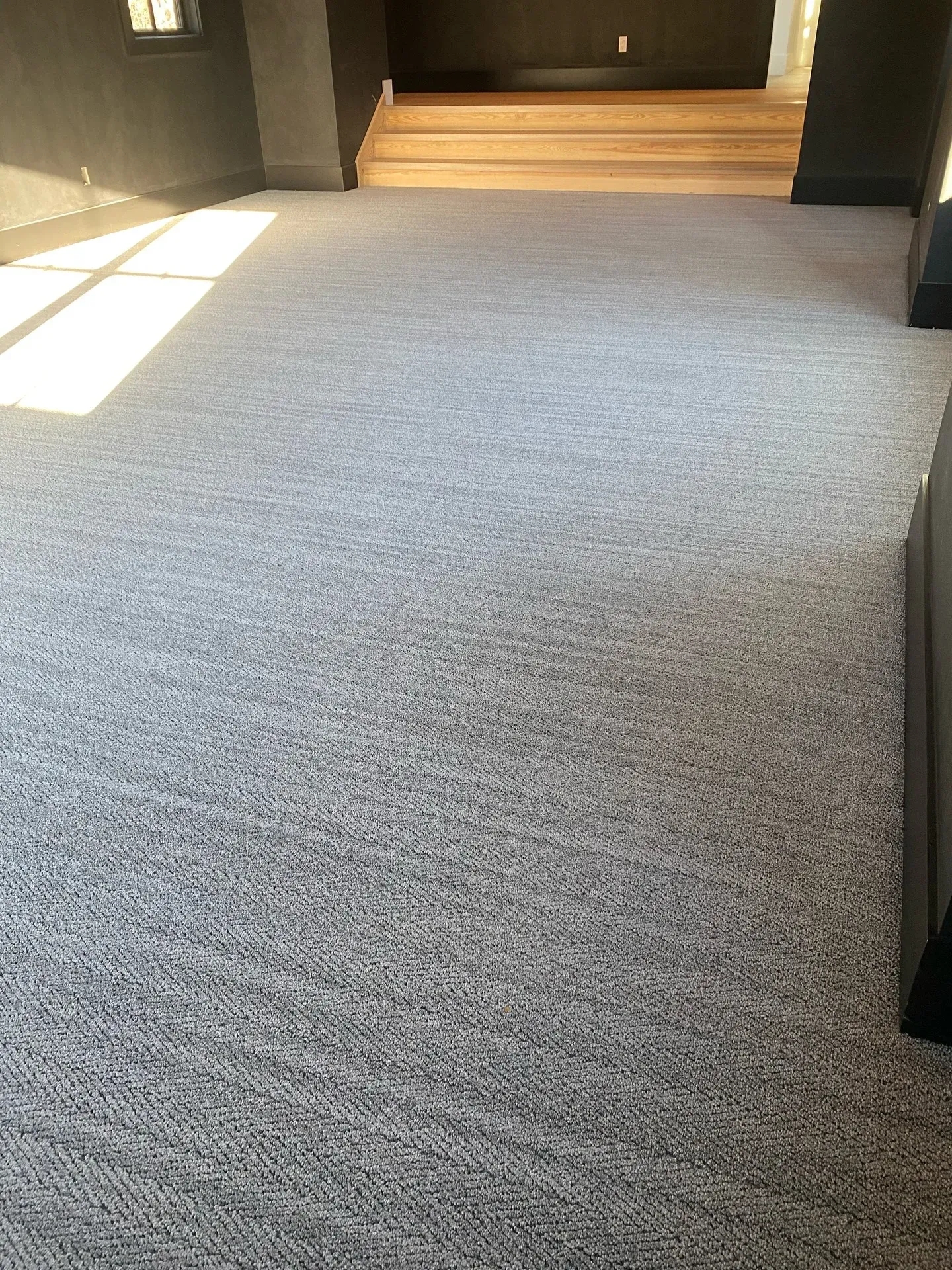Carpeted hallway leading to a sunlit doorway with steps in the background