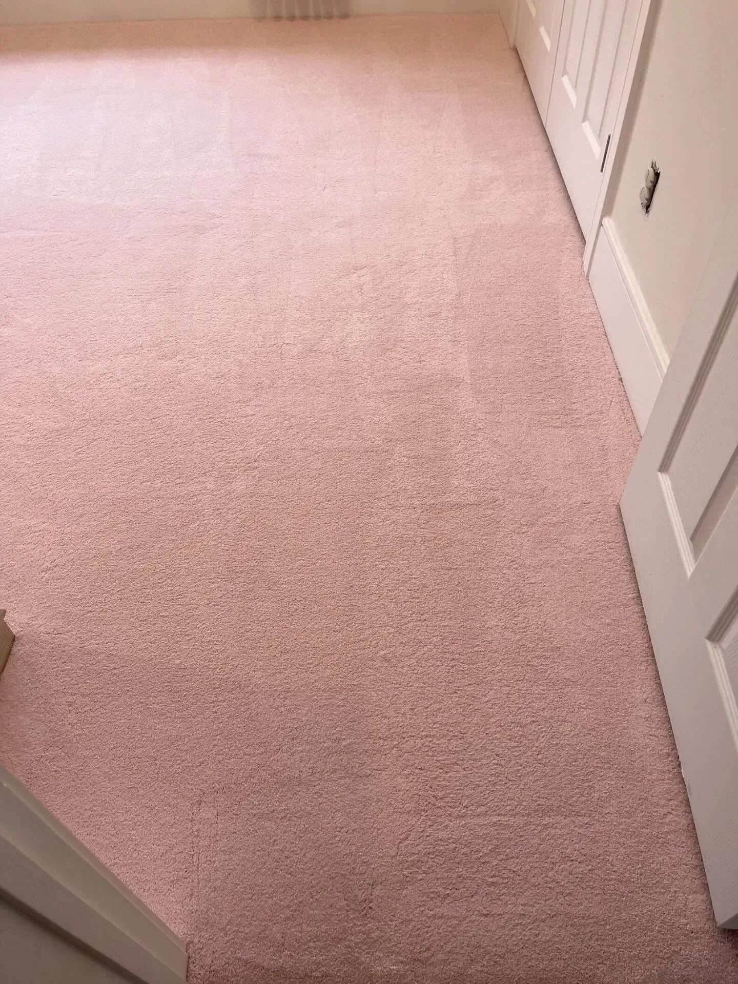 Pink carpeted hallway with white doors and trim
