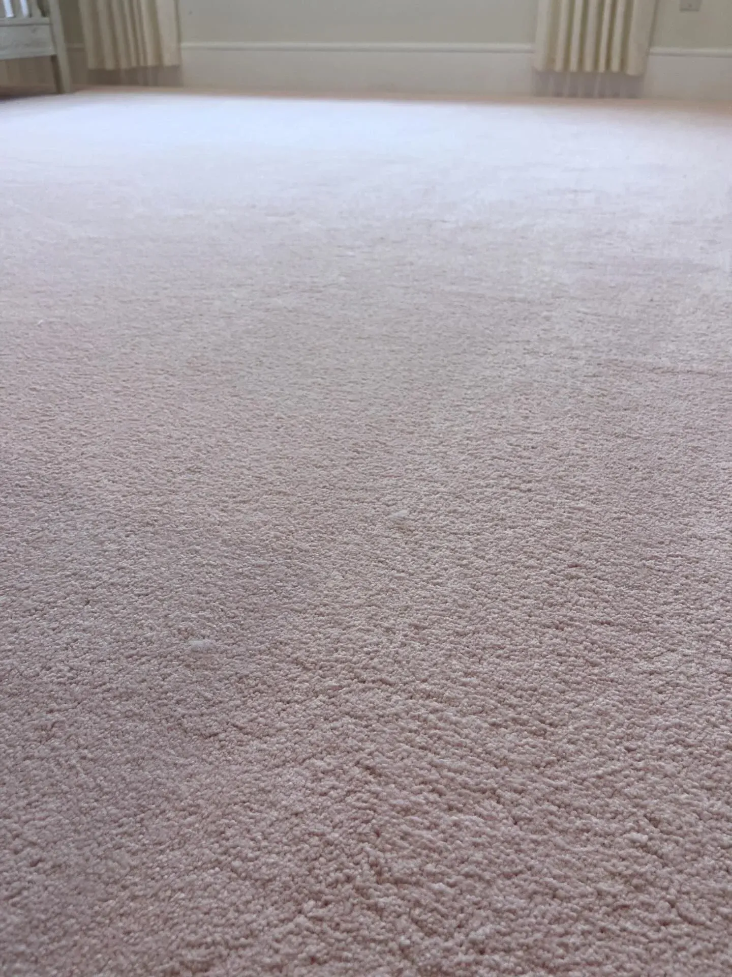 Light beige carpet in a bright room with windows and curtains visible at the far wall.