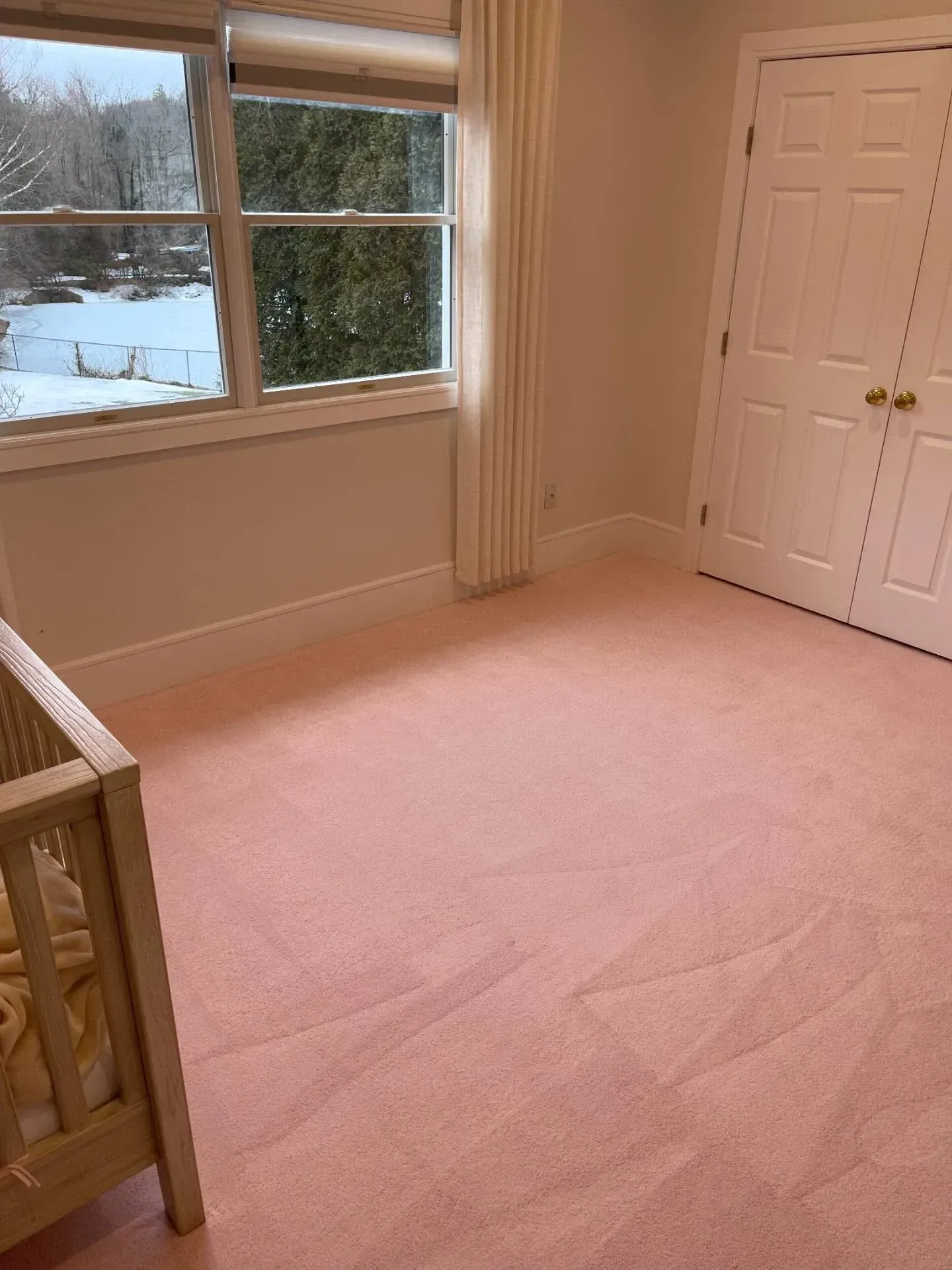 Empty pink-carpeted bedroom with a large window and white closet doors.