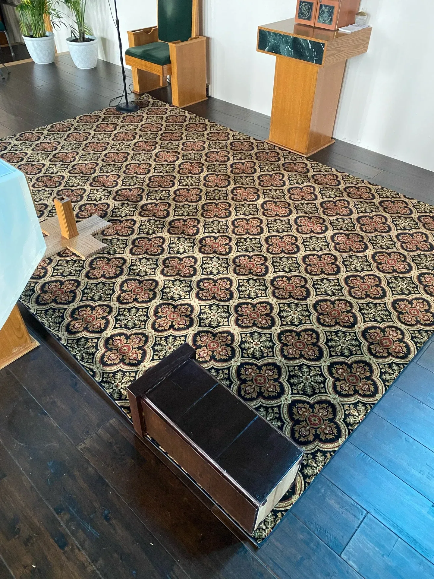 Patterned rug in a room with dark wood floors, a low bench, and small wooden side tables near plants.