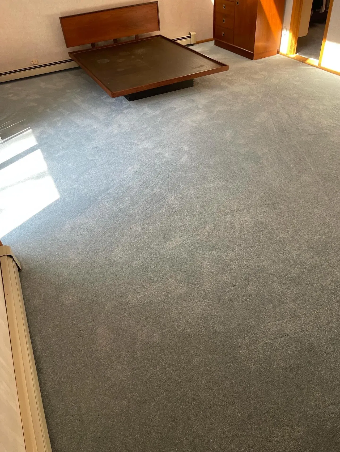 Sparse room with gray carpet, a low wooden platform bed, and sunlight on the floor.