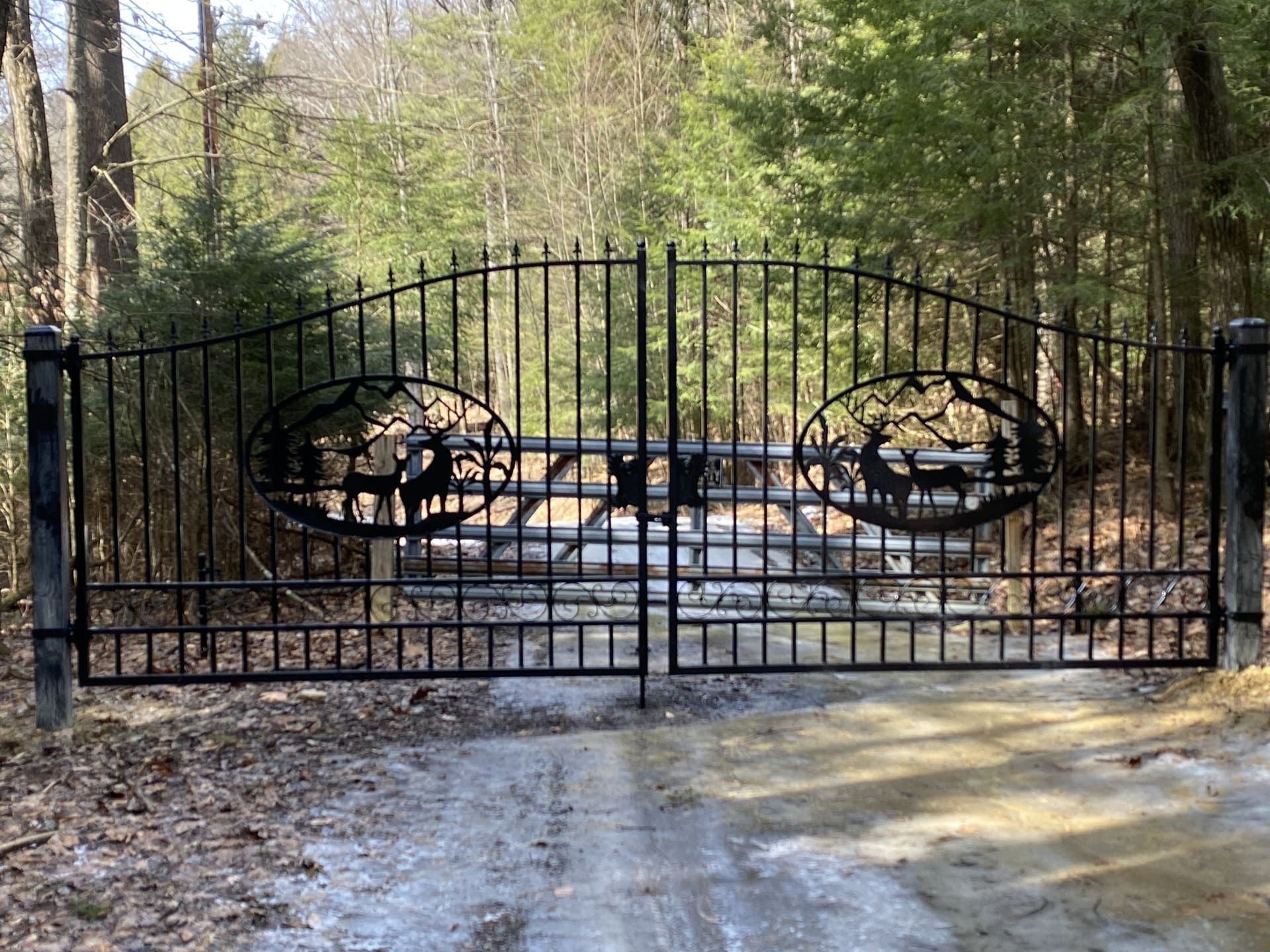 Chain Link Fence