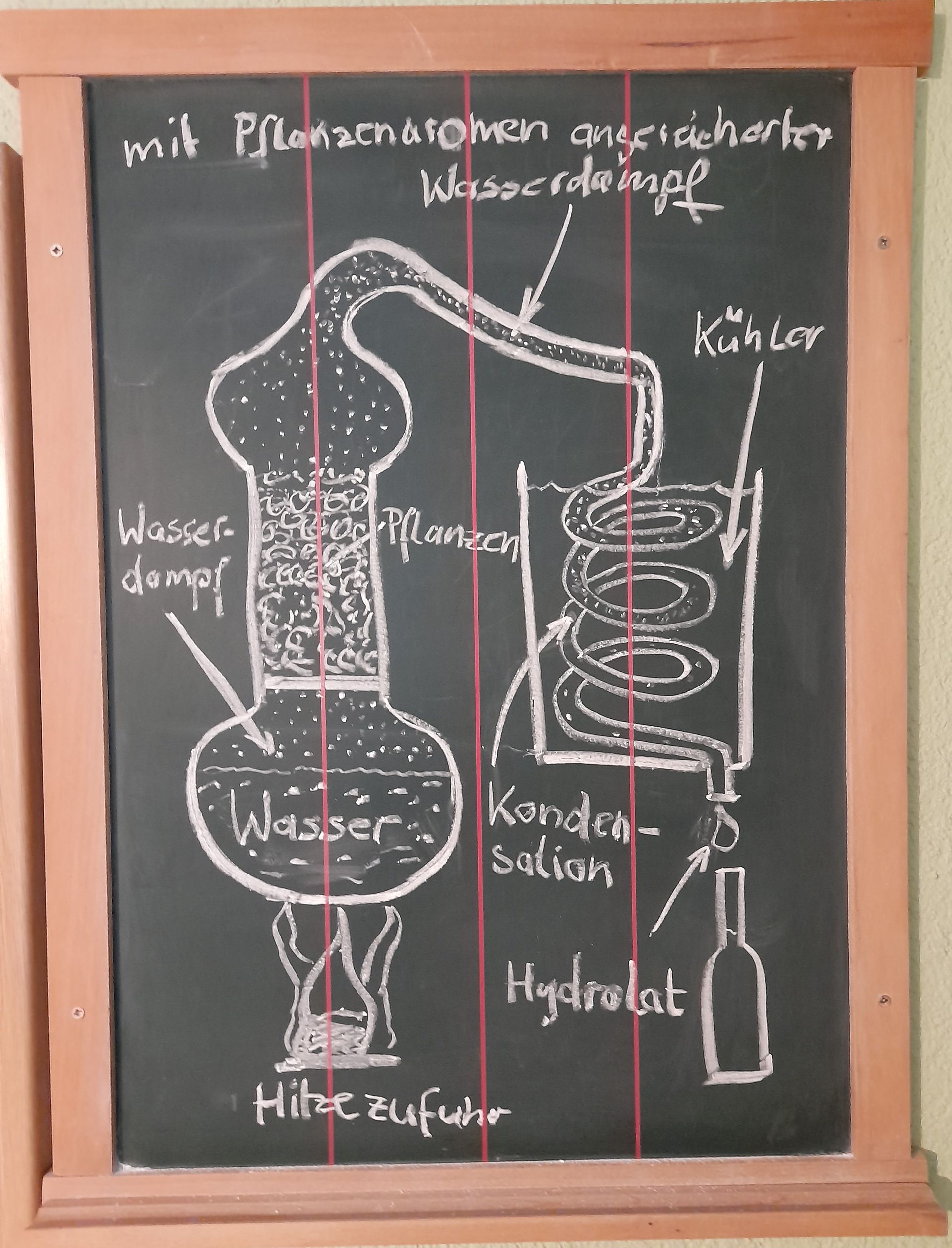 Darstellung der Wasserdampfdestillation