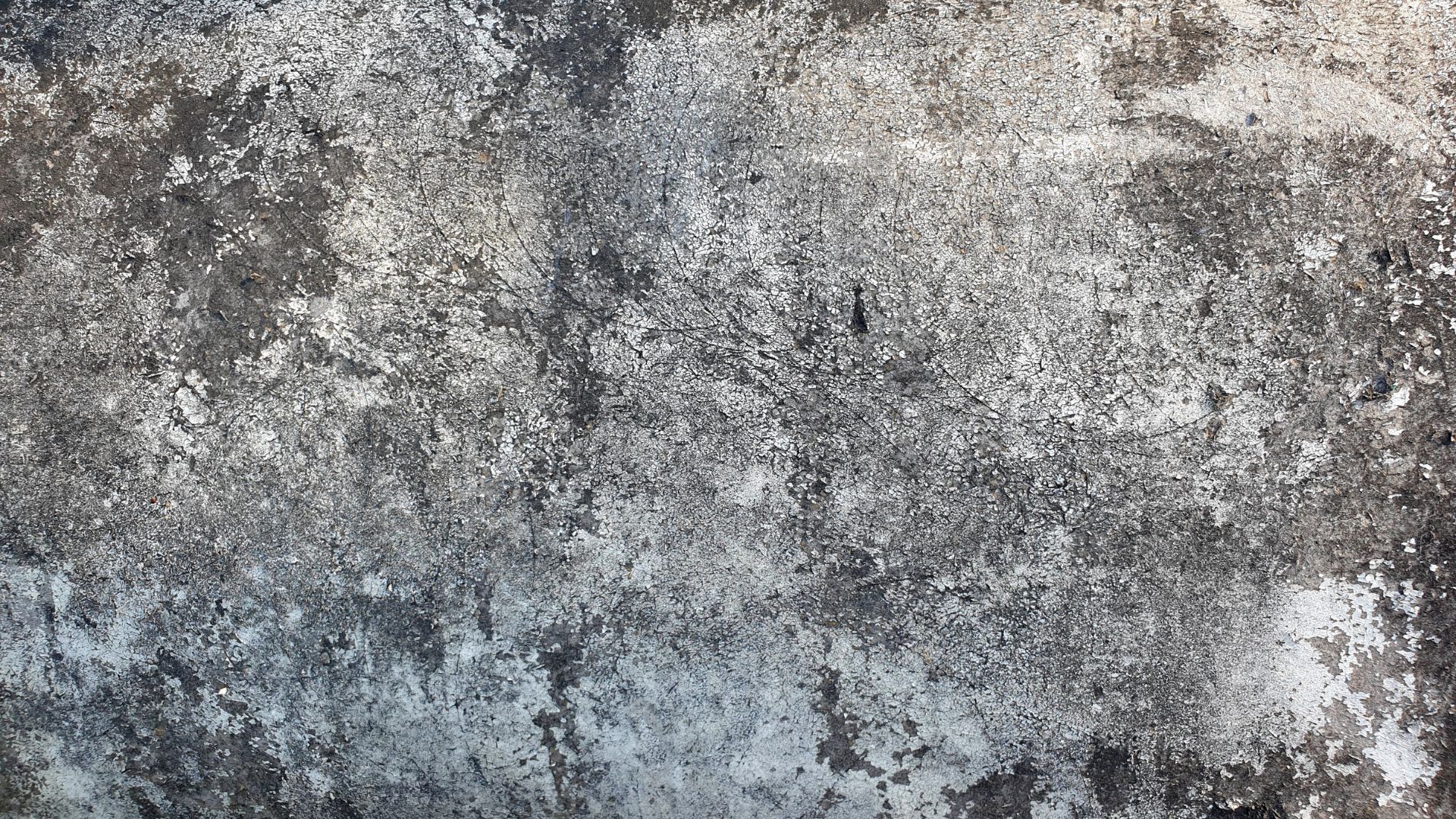 Concrete Contractor Mississauga ON