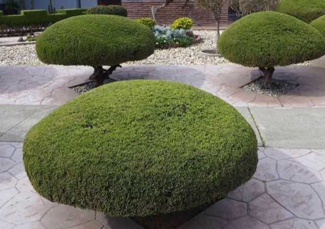landscape and garden design etobicoke ON