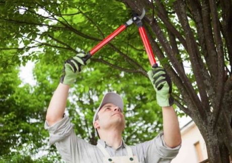mississauga lawn maintenance mississauga ON