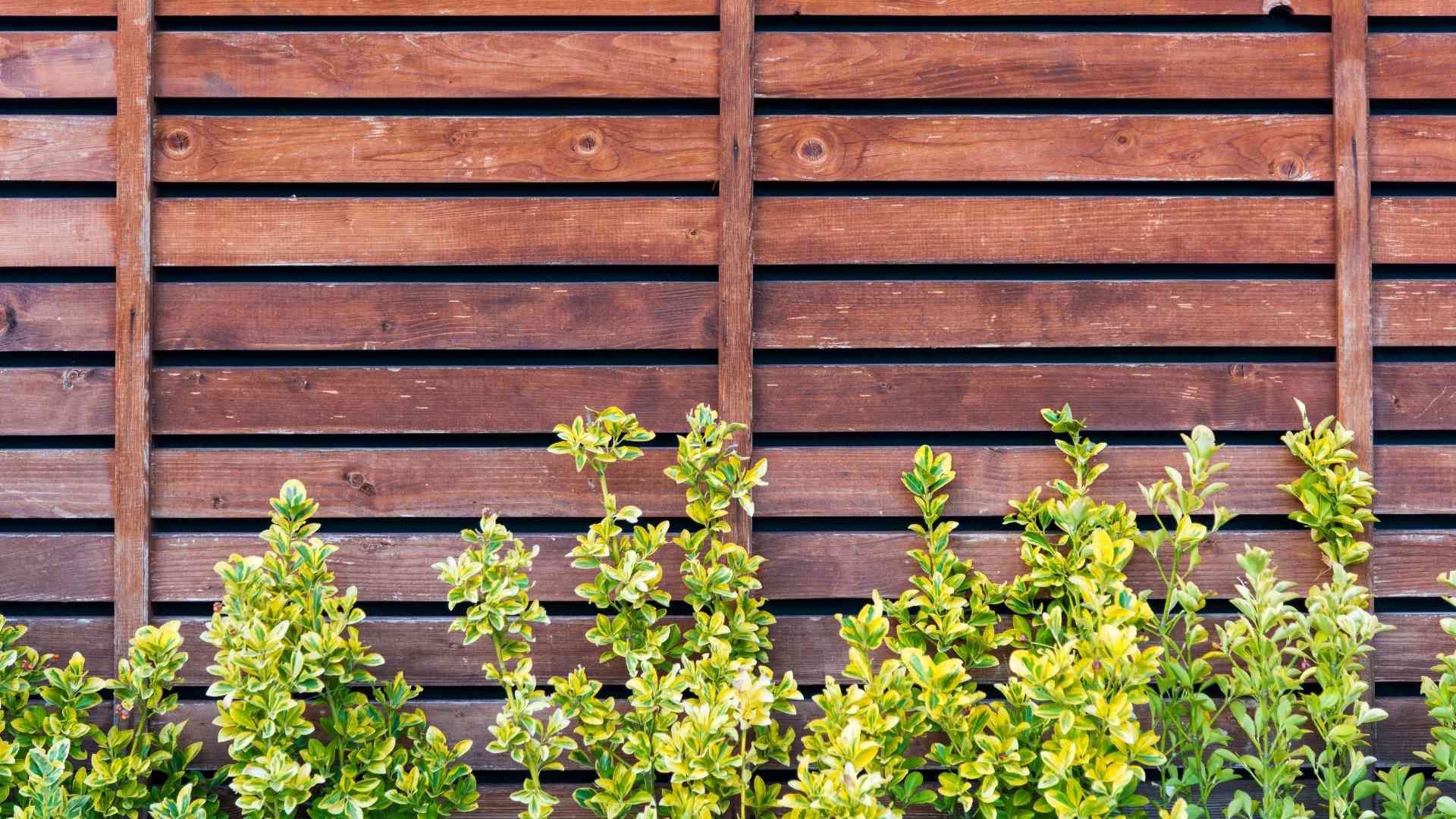 fence in oakville
