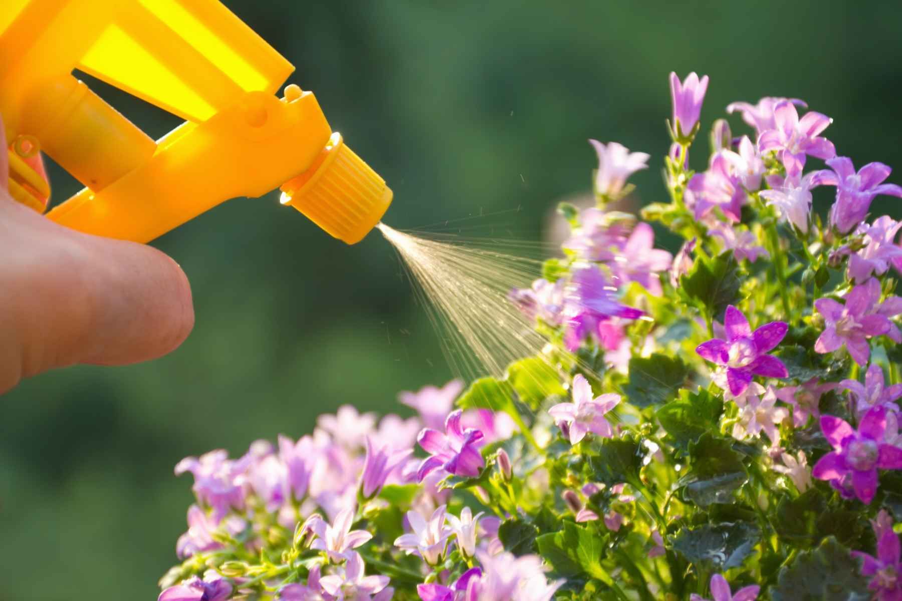 fertilizing Brampton