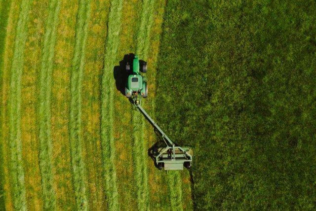 grass fertilizer mississauga ON