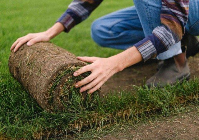 lawn repair service mississauga ON