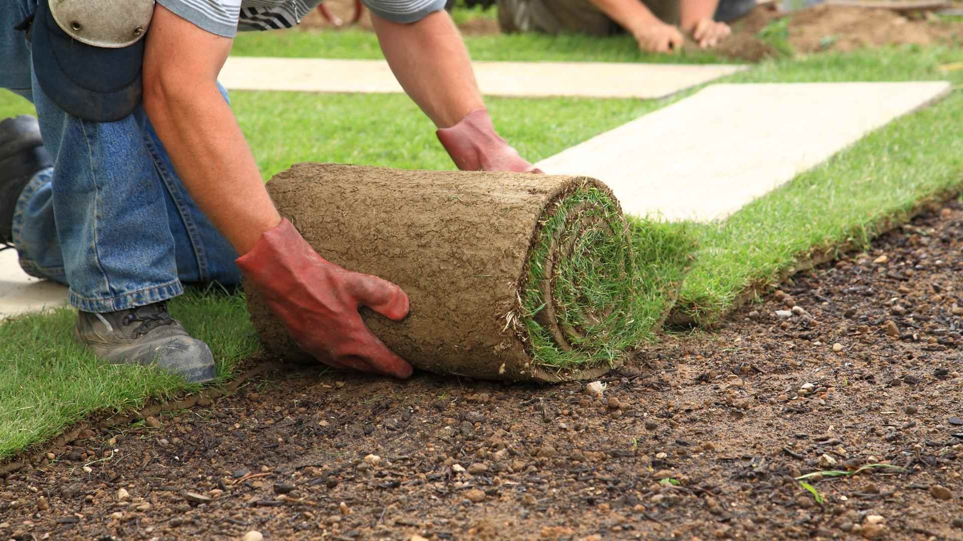 laying sod