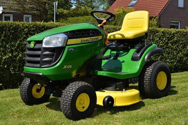 moss control mississauga ON