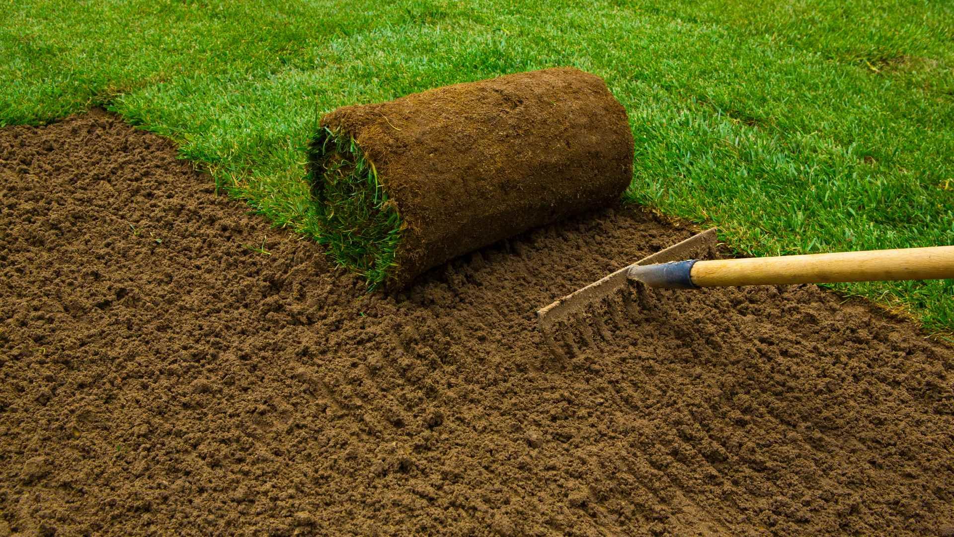 soddingmississauga