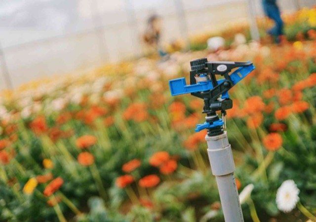 sprinkler system installation mississauga ON