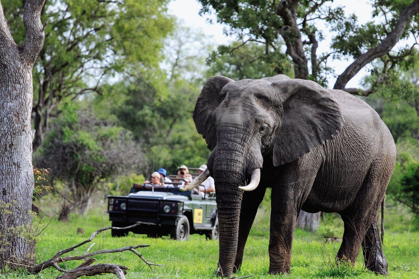 South Africa Essentials Itinerary ??