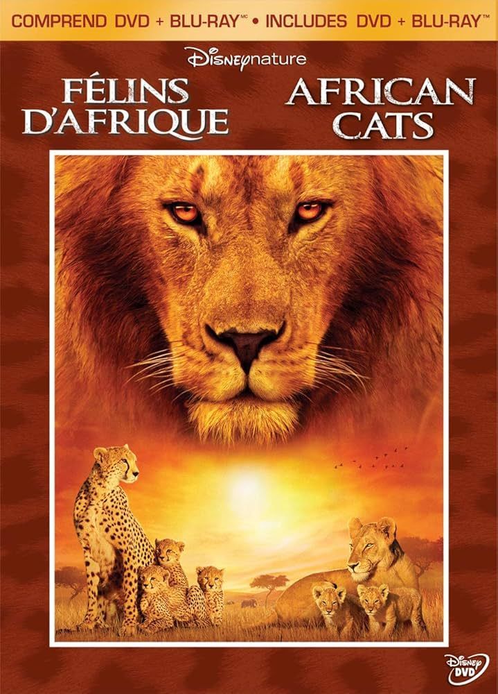 Félins d'Afrique