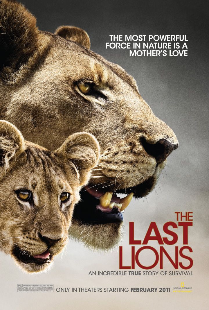 The Last Lions - Disney+