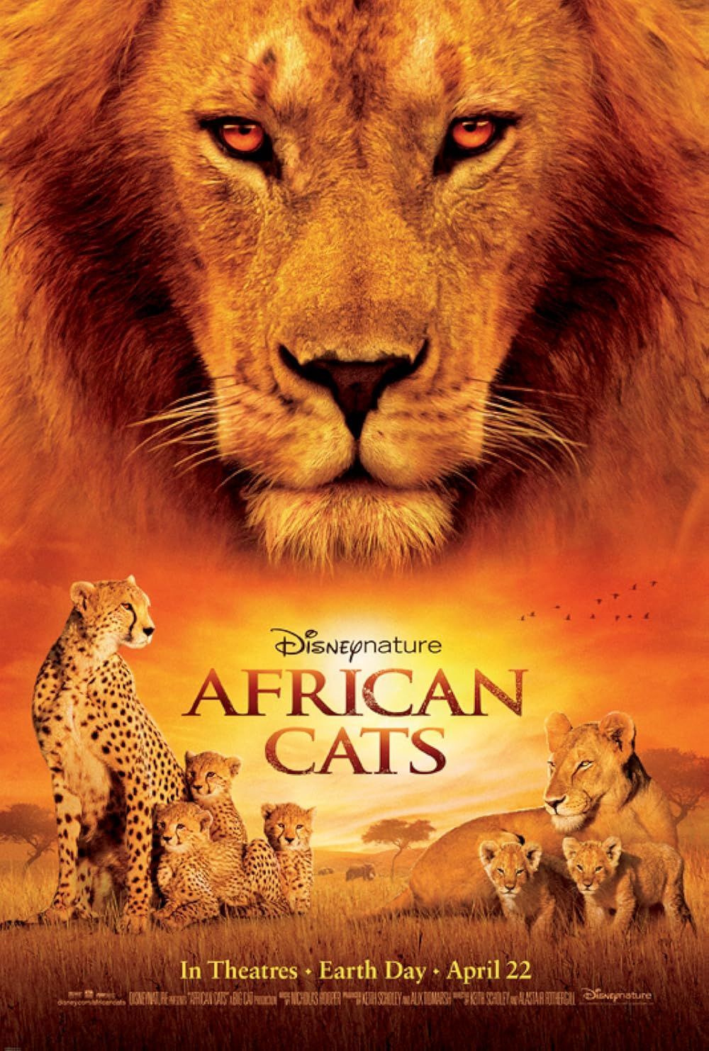 African Cats - Disney+