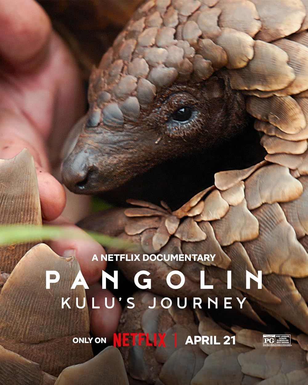 Kulu's Journey - Netflix