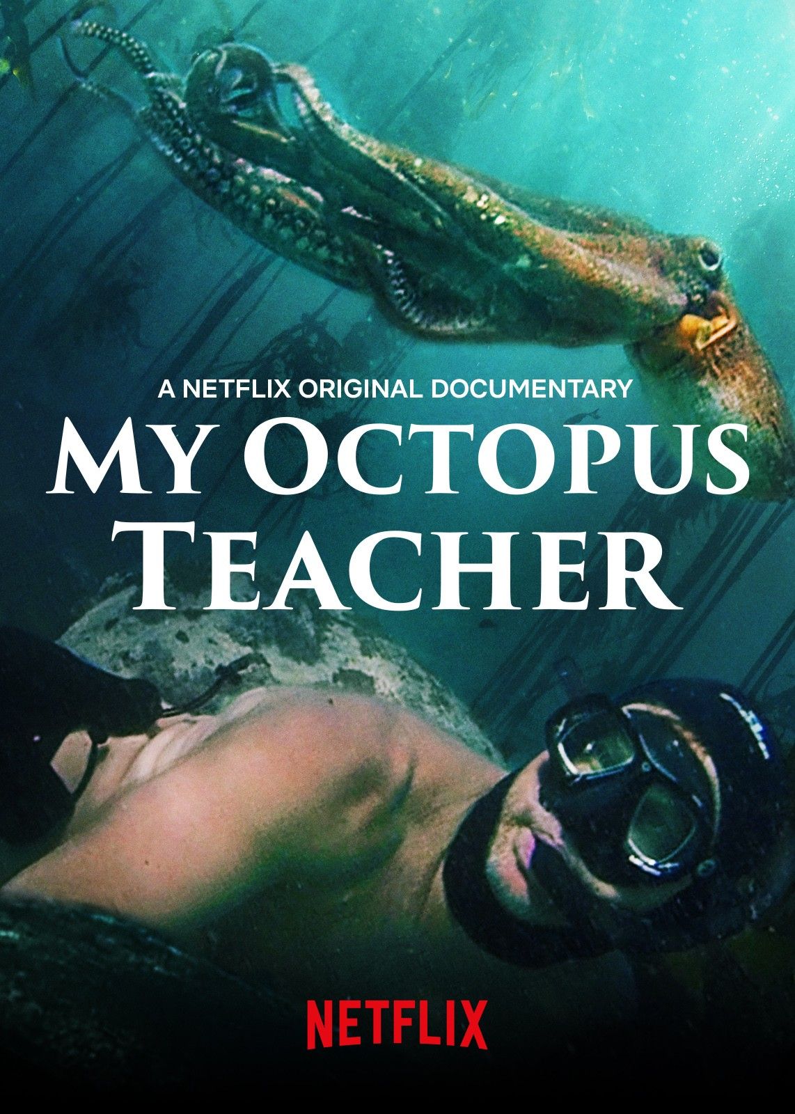 My Octopus Teacher - Netflix