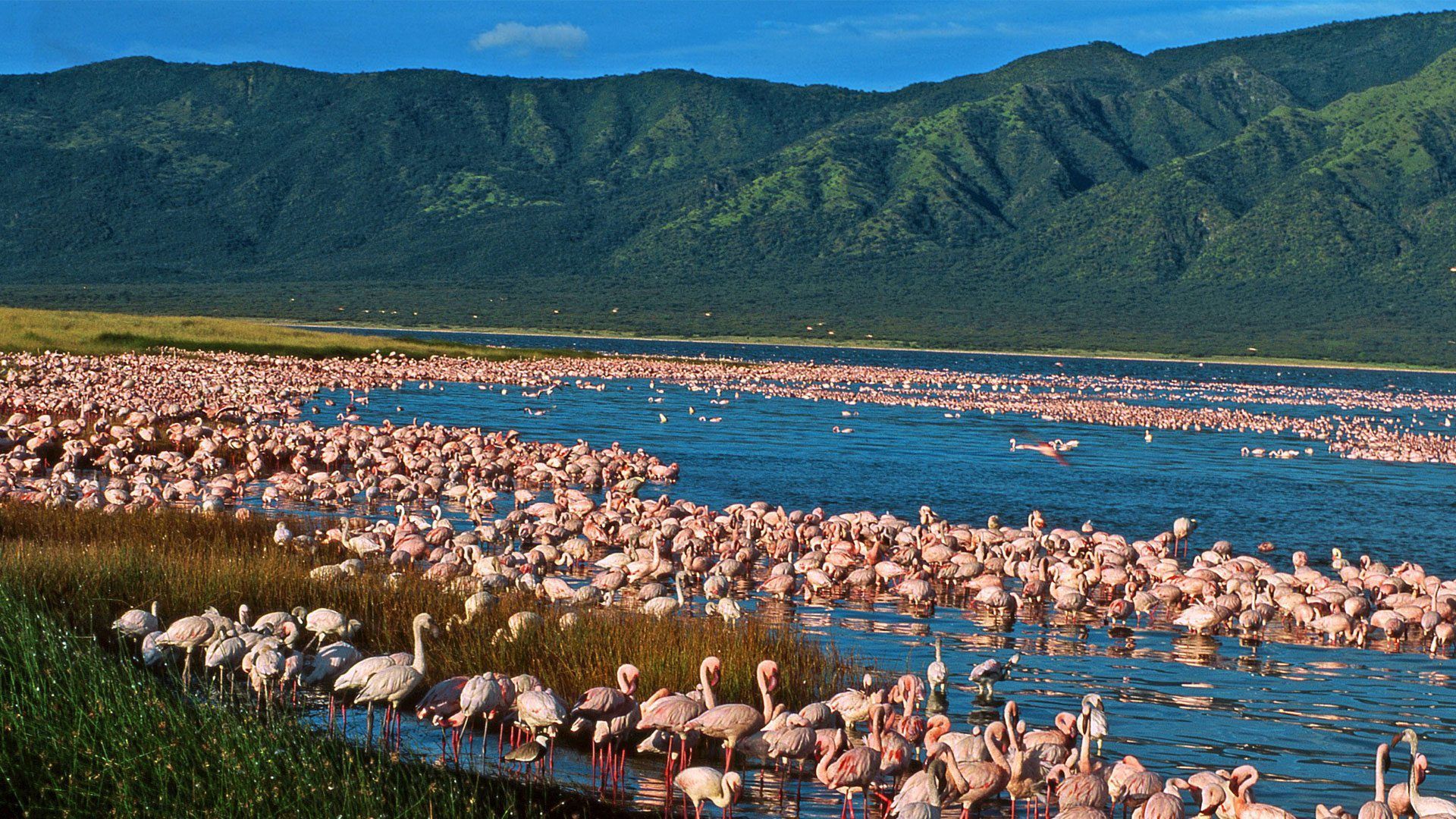 Best time to visit Lake Nakuru