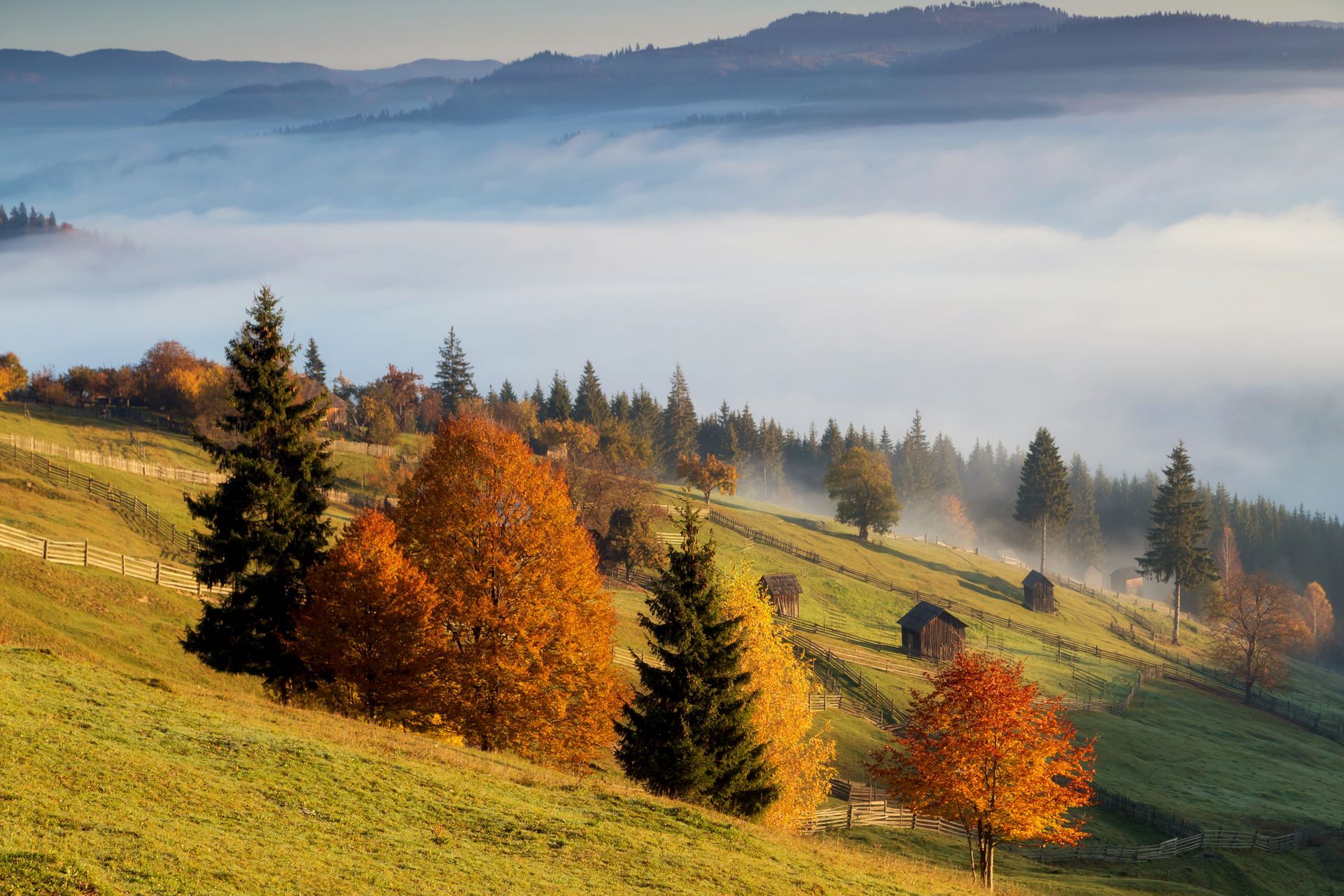 autunno