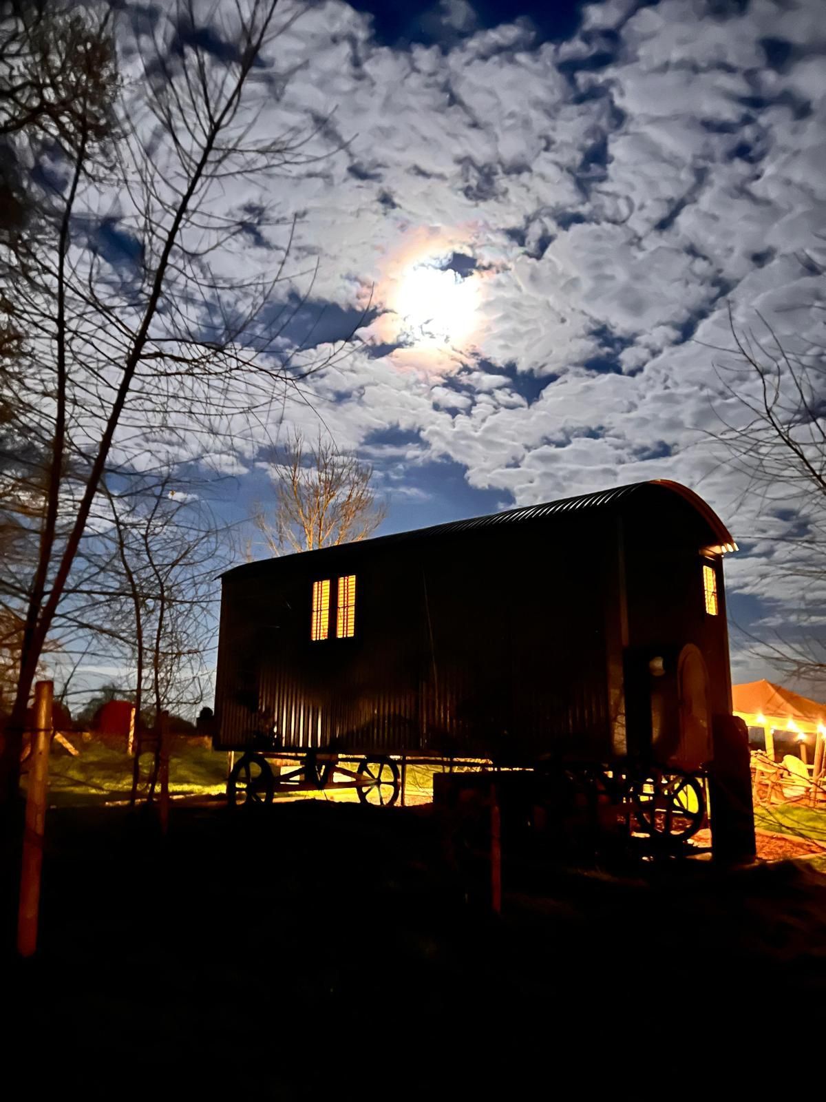 Lime Tree Luxury Glamping
