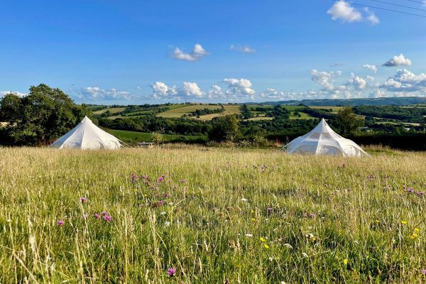 Two white tents in a sunny grassy field with rolling hills and blue sky