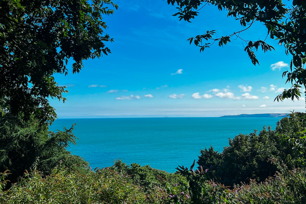 Tropical ocean view framed by lush green trees under a bright blue sky