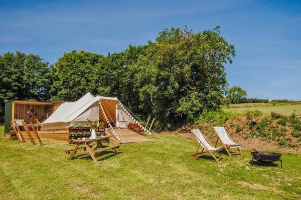 Glamping tents on a sunny grassy field with picnic tables and lounge chairs near trees