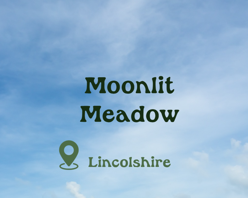 Moonlit Meadow Retreat