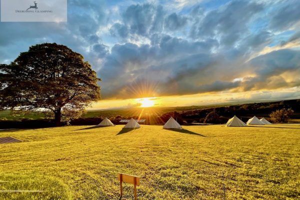 Sunset over a yellow field with tents and a large tree under dramatic clouds