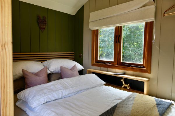 Cozy bedroom with a white bed, green accent wall, and a window overlooking trees