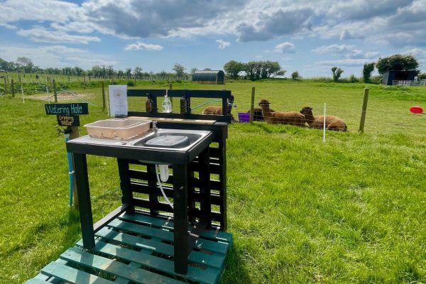 Outdoor handwashing station with sink and soap in a grassy field, with a garden and trees in the background
