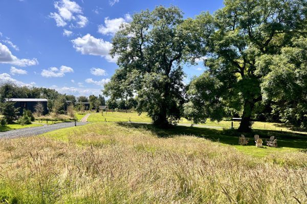 Grassy field with trees and a winding path under a bright blue sky