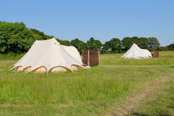 Two white bell tents in a grassy field with trees under a clear blue sky