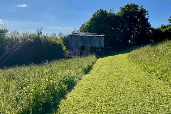 Grassy path leading to a small shed on a sunny hillside with trees and blue sky